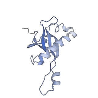 4745_6r7q_Z_v1-0
Structure of XBP1u-paused ribosome nascent chain complex with Sec61.