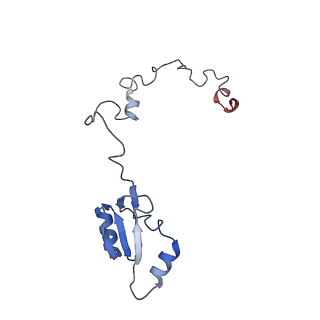 4745_6r7q_a_v1-0
Structure of XBP1u-paused ribosome nascent chain complex with Sec61.