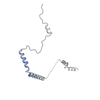 4745_6r7q_b_v1-0
Structure of XBP1u-paused ribosome nascent chain complex with Sec61.