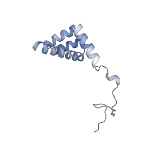 4745_6r7q_i_v1-0
Structure of XBP1u-paused ribosome nascent chain complex with Sec61.