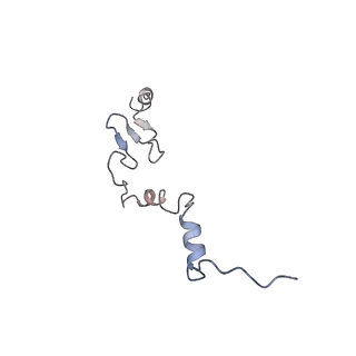 4745_6r7q_j_v1-0
Structure of XBP1u-paused ribosome nascent chain complex with Sec61.