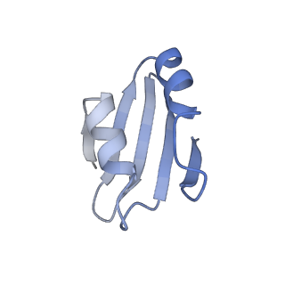 4745_6r7q_k_v1-0
Structure of XBP1u-paused ribosome nascent chain complex with Sec61.