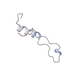 4745_6r7q_l_v1-0
Structure of XBP1u-paused ribosome nascent chain complex with Sec61.