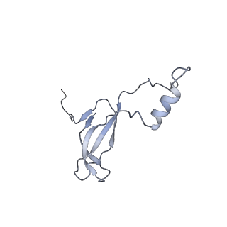 4745_6r7q_o_v1-0
Structure of XBP1u-paused ribosome nascent chain complex with Sec61.