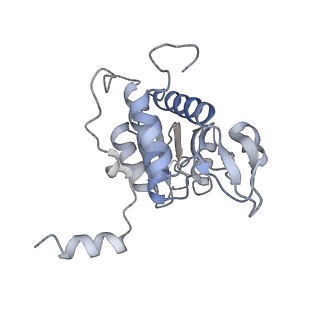4745_6r7q_q_v1-0
Structure of XBP1u-paused ribosome nascent chain complex with Sec61.