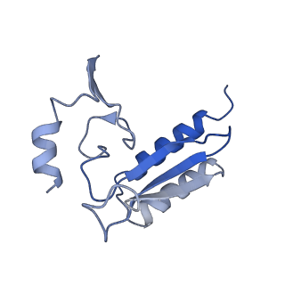 4745_6r7q_r_v1-0
Structure of XBP1u-paused ribosome nascent chain complex with Sec61.