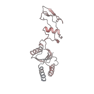 4745_6r7q_s_v1-0
Structure of XBP1u-paused ribosome nascent chain complex with Sec61.