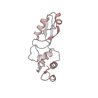 4745_6r7q_t_v1-0
Structure of XBP1u-paused ribosome nascent chain complex with Sec61.
