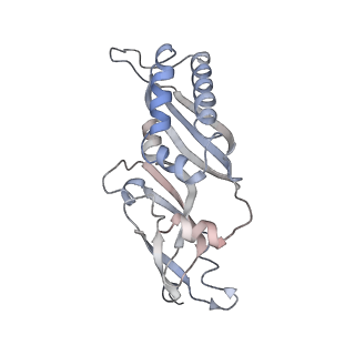 4745_6r7q_u_v1-0
Structure of XBP1u-paused ribosome nascent chain complex with Sec61.