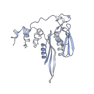 4745_6r7q_v_v1-0
Structure of XBP1u-paused ribosome nascent chain complex with Sec61.