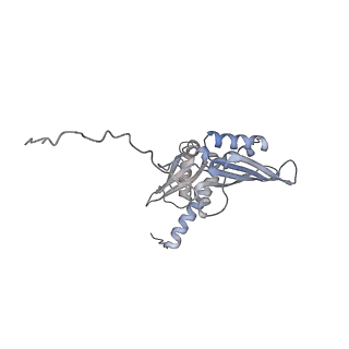 4745_6r7q_w_v1-0
Structure of XBP1u-paused ribosome nascent chain complex with Sec61.
