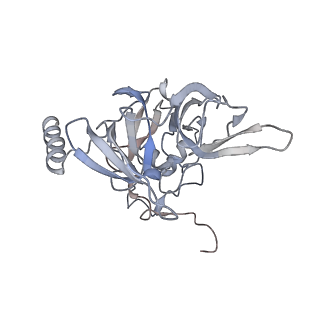 4745_6r7q_x_v1-0
Structure of XBP1u-paused ribosome nascent chain complex with Sec61.