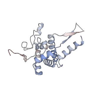 4745_6r7q_y_v1-0
Structure of XBP1u-paused ribosome nascent chain complex with Sec61.