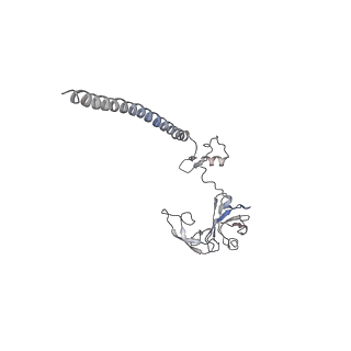 4745_6r7q_z_v1-0
Structure of XBP1u-paused ribosome nascent chain complex with Sec61.