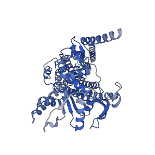 4746_6r7x_B_v1-4
CryoEM structure of calcium-bound human TMEM16K / Anoctamin 10 in detergent (2mM Ca2+, closed form)