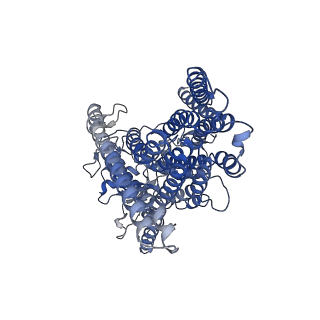 4747_6r7y_B_v1-4
CryoEM structure of calcium-bound human TMEM16K / Anoctamin 10 in detergent (low Ca2+, closed form)