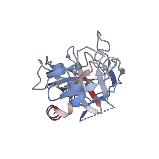 18999_8r8d_A_v1-0
Cryo-EM structure of coagulation factor beta-XIIa in complex with the garadacimab Fab fragment (symmetric dimer)