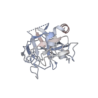 18999_8r8d_B_v1-0
Cryo-EM structure of coagulation factor beta-XIIa in complex with the garadacimab Fab fragment (symmetric dimer)