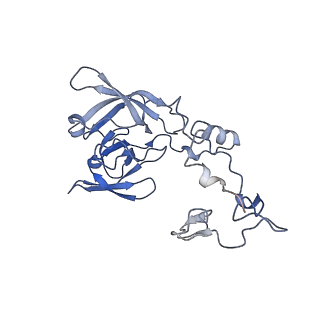 24307_7r81_D1_v1-0
Structure of the translating Neurospora crassa ribosome arrested by cycloheximide