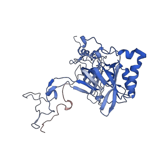 24307_7r81_E1_v1-0
Structure of the translating Neurospora crassa ribosome arrested by cycloheximide