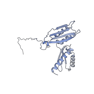 24307_7r81_E2_v1-0
Structure of the translating Neurospora crassa ribosome arrested by cycloheximide