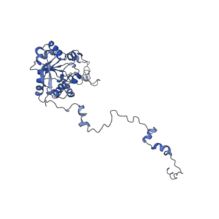 24307_7r81_F1_v1-0
Structure of the translating Neurospora crassa ribosome arrested by cycloheximide