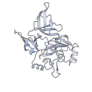 24307_7r81_F2_v1-0
Structure of the translating Neurospora crassa ribosome arrested by cycloheximide