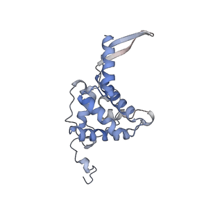 24307_7r81_G2_v1-0
Structure of the translating Neurospora crassa ribosome arrested by cycloheximide