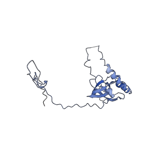 24307_7r81_H1_v1-0
Structure of the translating Neurospora crassa ribosome arrested by cycloheximide