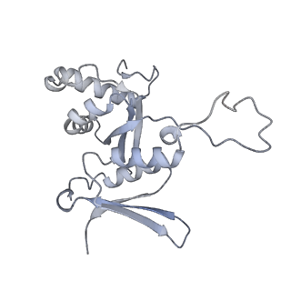 24307_7r81_I2_v1-0
Structure of the translating Neurospora crassa ribosome arrested by cycloheximide