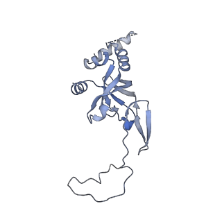 24307_7r81_J2_v1-0
Structure of the translating Neurospora crassa ribosome arrested by cycloheximide