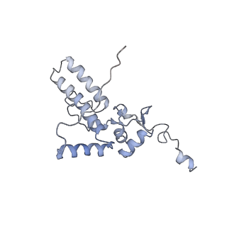 24307_7r81_K2_v1-0
Structure of the translating Neurospora crassa ribosome arrested by cycloheximide