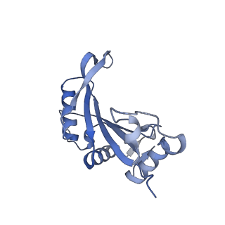 24307_7r81_M1_v1-0
Structure of the translating Neurospora crassa ribosome arrested by cycloheximide