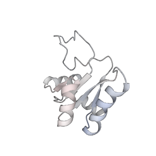 24307_7r81_N2_v1-0
Structure of the translating Neurospora crassa ribosome arrested by cycloheximide