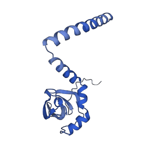 24307_7r81_O1_v1-0
Structure of the translating Neurospora crassa ribosome arrested by cycloheximide