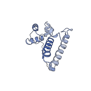 24307_7r81_O2_v1-0
Structure of the translating Neurospora crassa ribosome arrested by cycloheximide