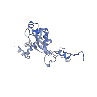 24307_7r81_P1_v1-0
Structure of the translating Neurospora crassa ribosome arrested by cycloheximide
