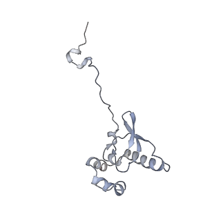 24307_7r81_Q2_v1-0
Structure of the translating Neurospora crassa ribosome arrested by cycloheximide