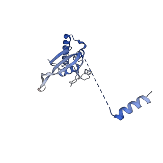 24307_7r81_R1_v1-0
Structure of the translating Neurospora crassa ribosome arrested by cycloheximide
