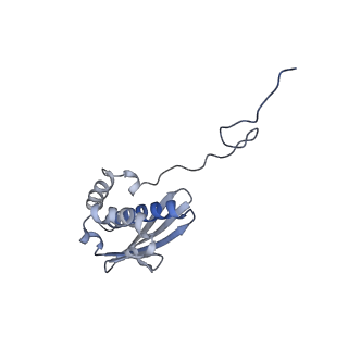 24307_7r81_R2_v1-0
Structure of the translating Neurospora crassa ribosome arrested by cycloheximide