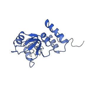 24307_7r81_S1_v1-0
Structure of the translating Neurospora crassa ribosome arrested by cycloheximide