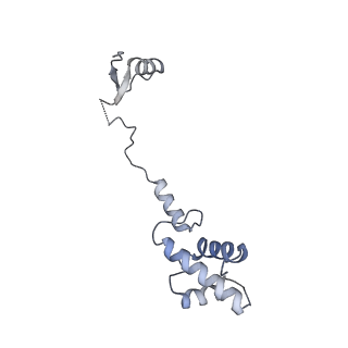 24307_7r81_S2_v1-0
Structure of the translating Neurospora crassa ribosome arrested by cycloheximide