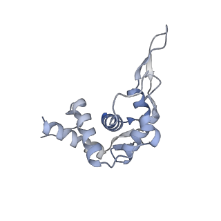 24307_7r81_U2_v1-0
Structure of the translating Neurospora crassa ribosome arrested by cycloheximide