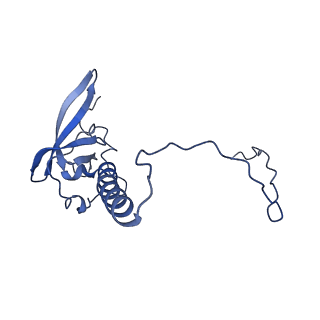 24307_7r81_V1_v1-0
Structure of the translating Neurospora crassa ribosome arrested by cycloheximide