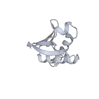 24307_7r81_W1_v1-0
Structure of the translating Neurospora crassa ribosome arrested by cycloheximide