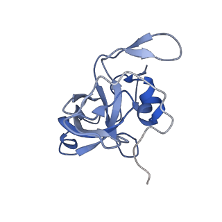 24307_7r81_X1_v1-0
Structure of the translating Neurospora crassa ribosome arrested by cycloheximide