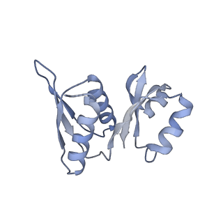 24307_7r81_X2_v1-0
Structure of the translating Neurospora crassa ribosome arrested by cycloheximide