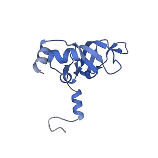 24307_7r81_a1_v1-0
Structure of the translating Neurospora crassa ribosome arrested by cycloheximide