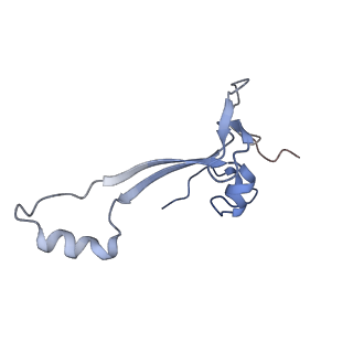24307_7r81_b2_v1-0
Structure of the translating Neurospora crassa ribosome arrested by cycloheximide