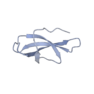24307_7r81_d2_v1-0
Structure of the translating Neurospora crassa ribosome arrested by cycloheximide